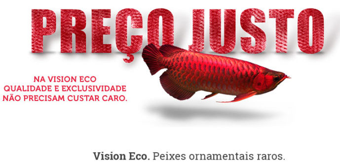 Vision Eco